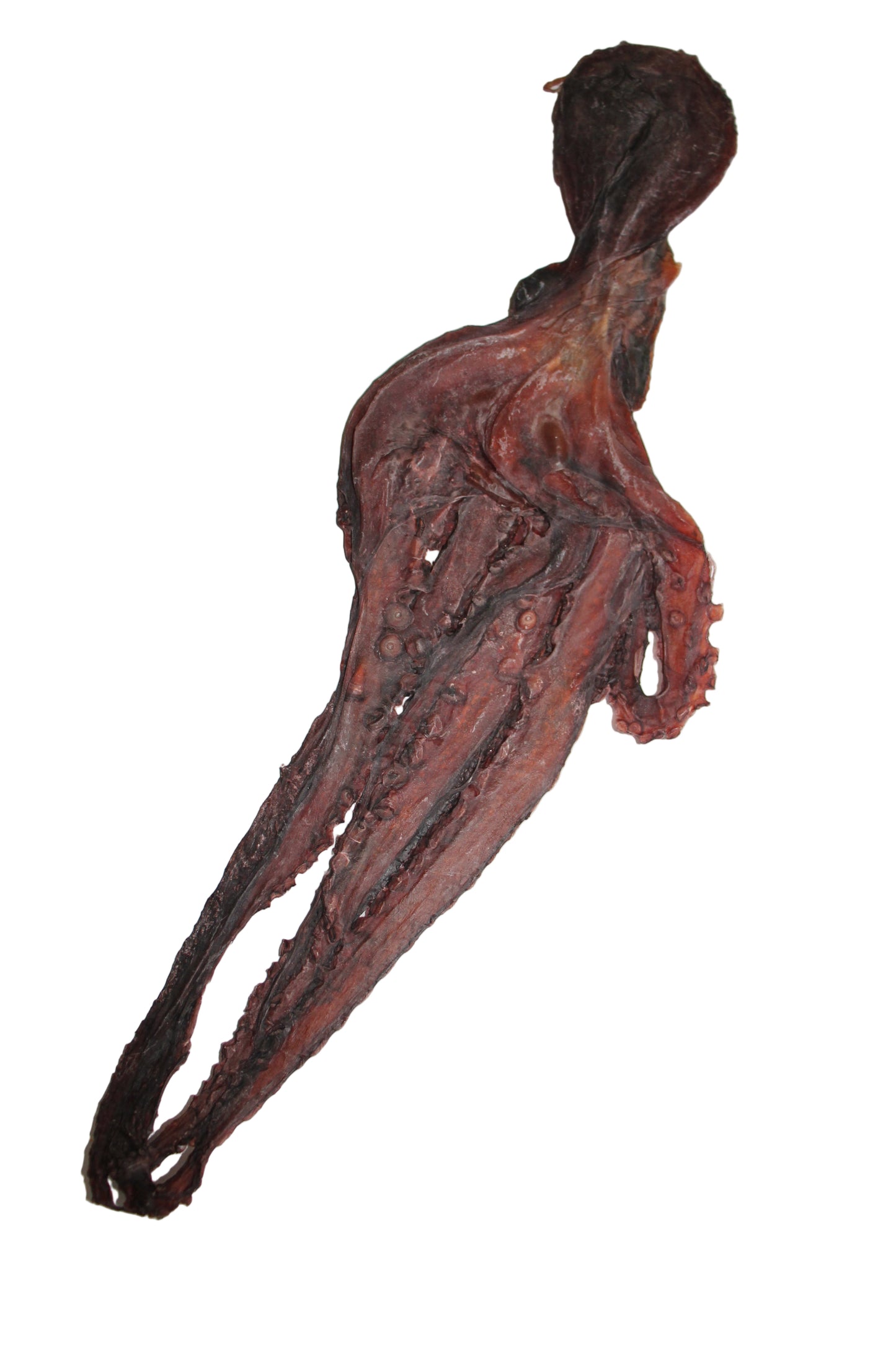 Inktvis S 50-65 gram