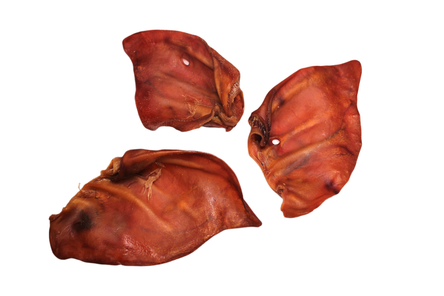 Varkensoren Medium