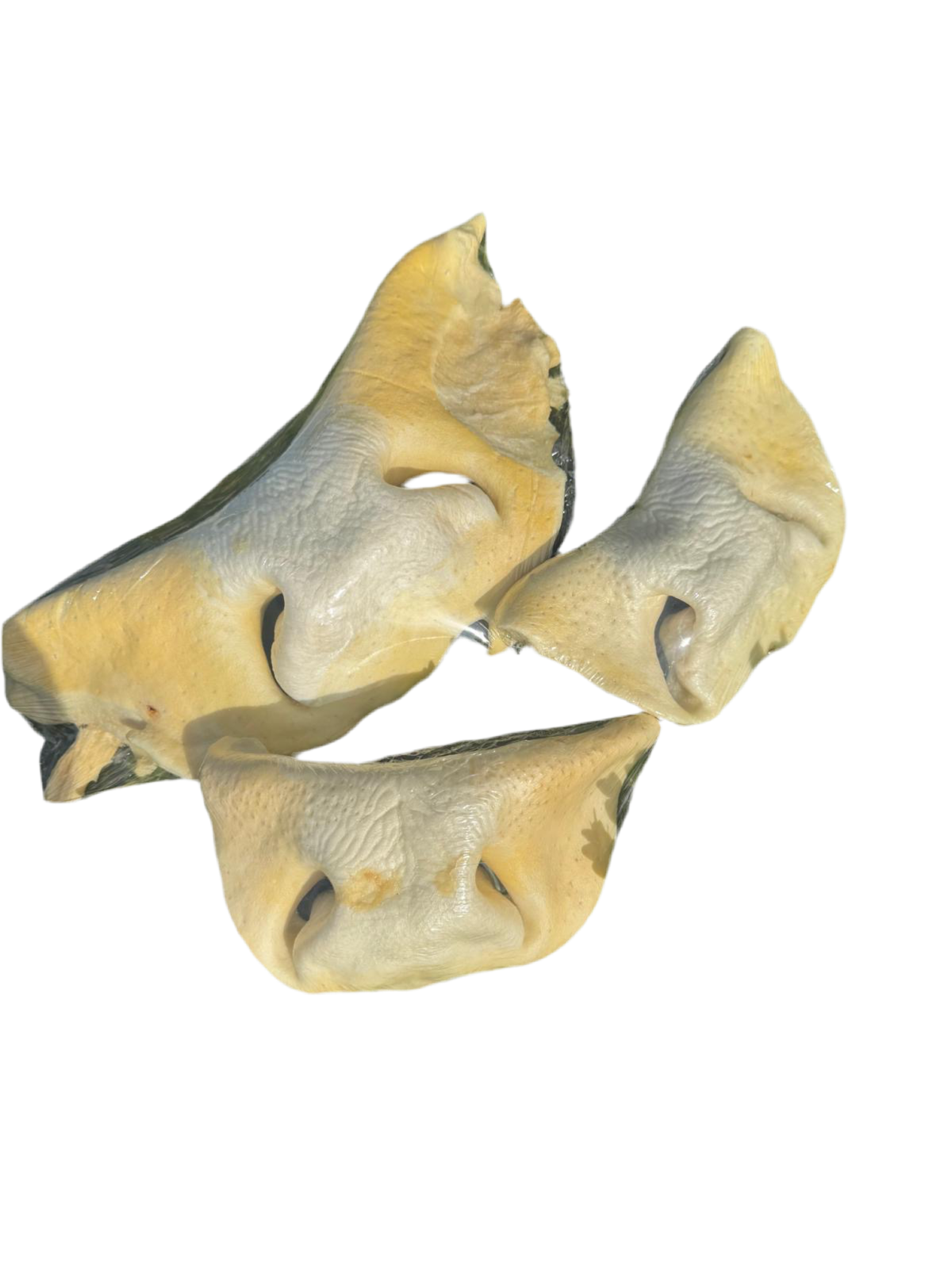Runderneus