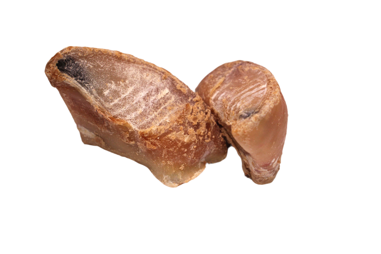 Kauwhoefjes met Schapenvet