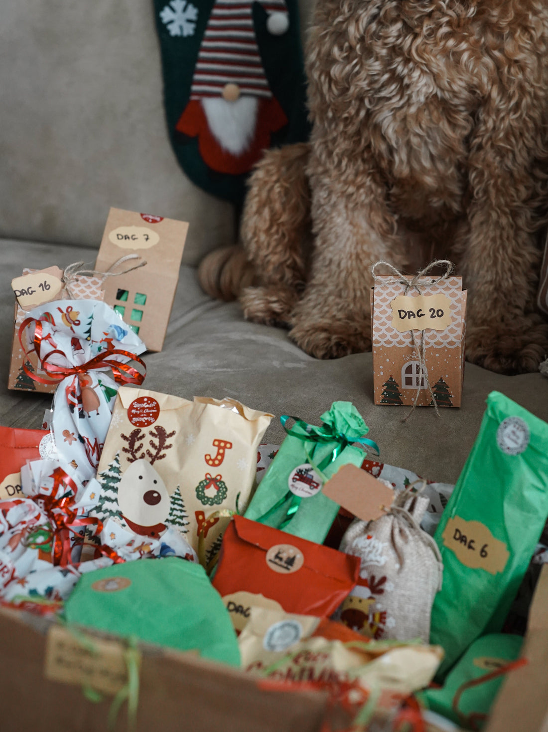 Bemachtig onze limited edition adventskalender voor honden 🎄