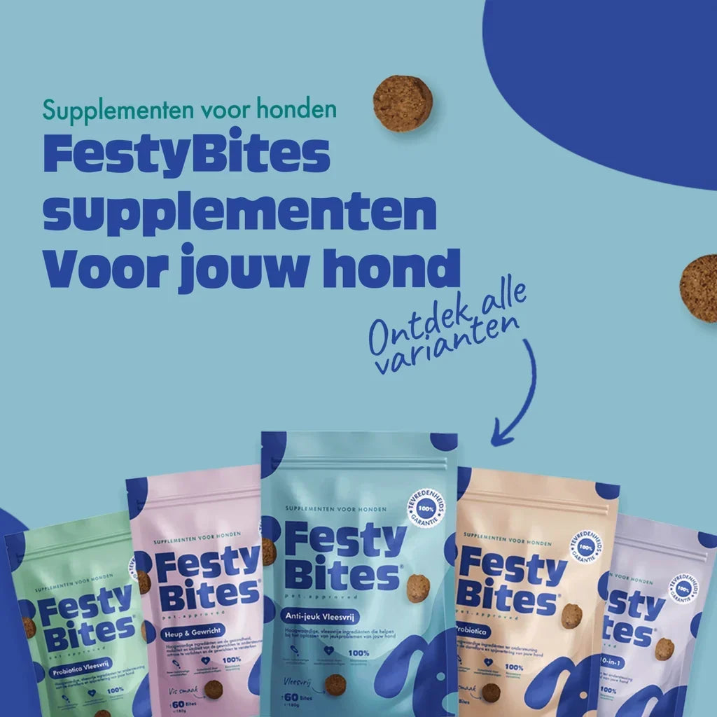 Supplementen voor honden: waarom wij kiezen voor FestyBites