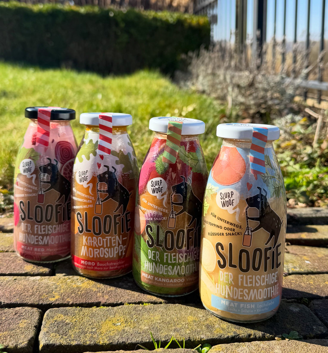 Hondensmoothies: een frisse traktatie voor warme dagen
