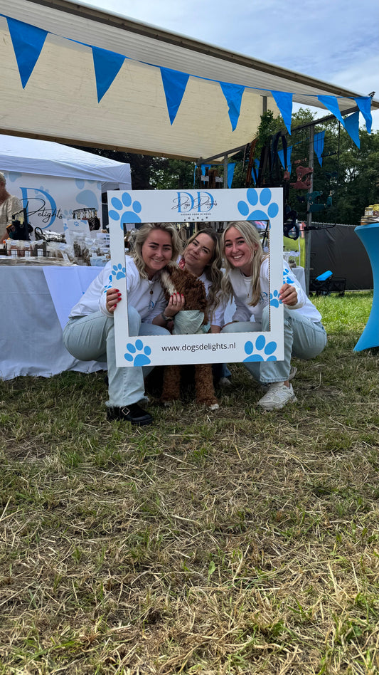 Bark in the Park: Onze eerste grote hondenevenement