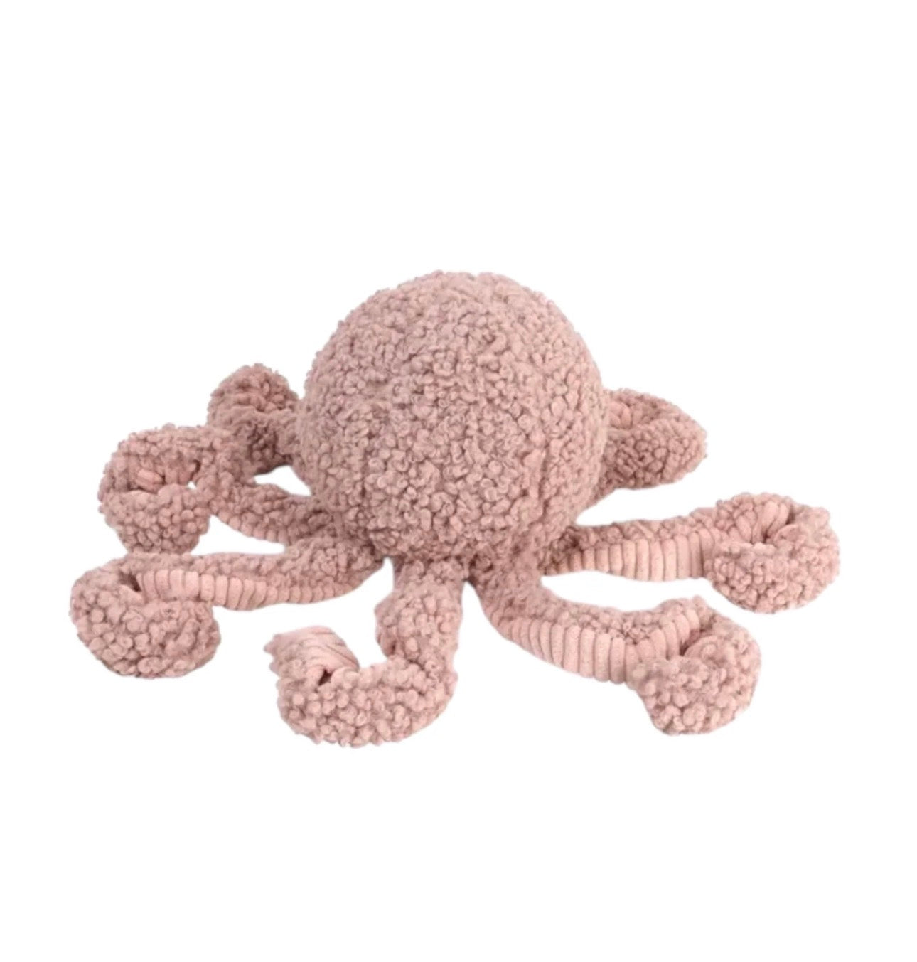District 70 Squid