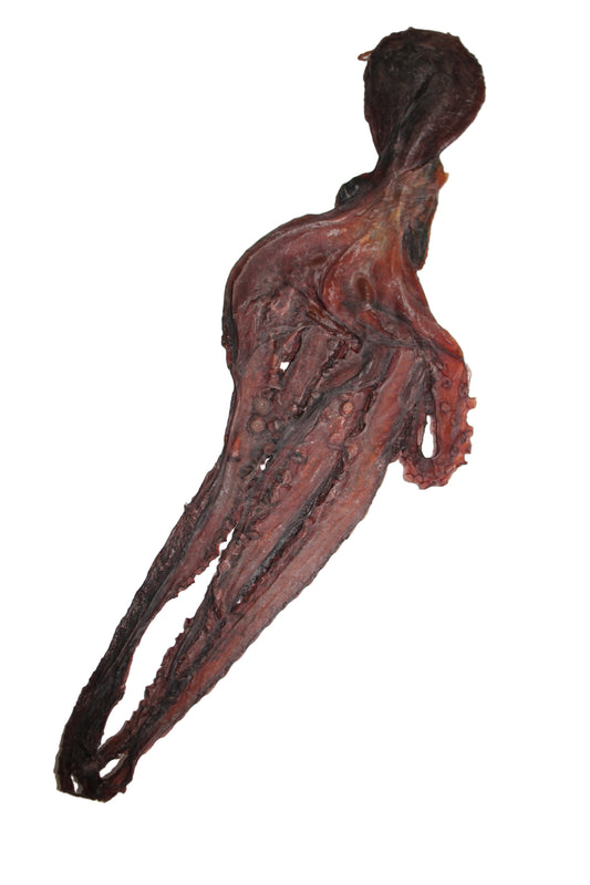 Inktvis M 75-85 gram