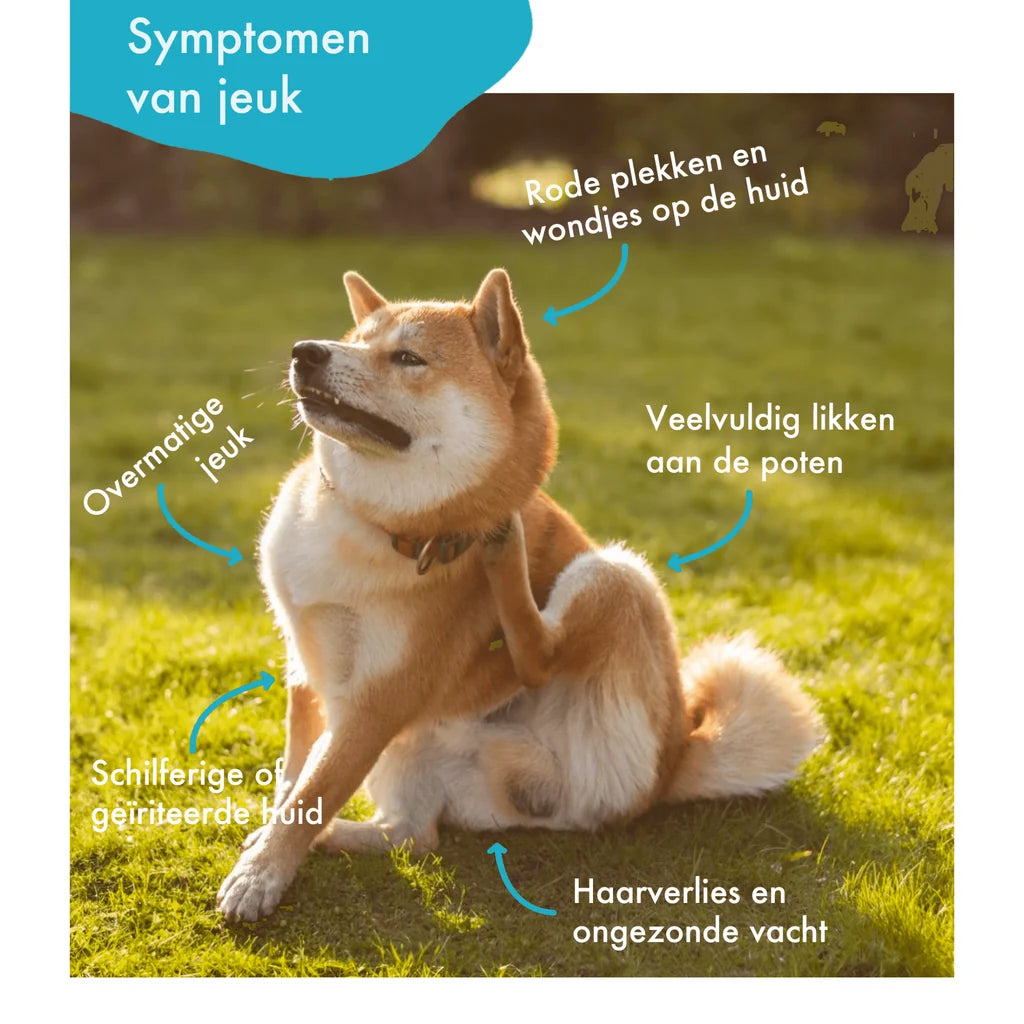 Festybites Jeuk & Huid