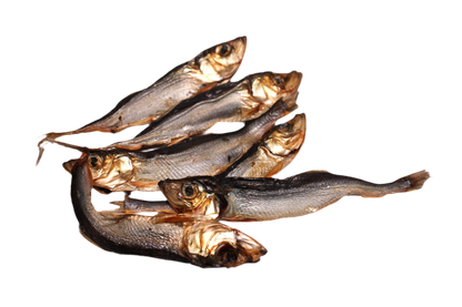 Sprotjes