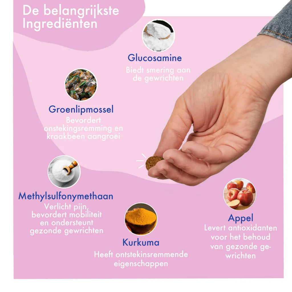 Festybites Heup & Gewrichten