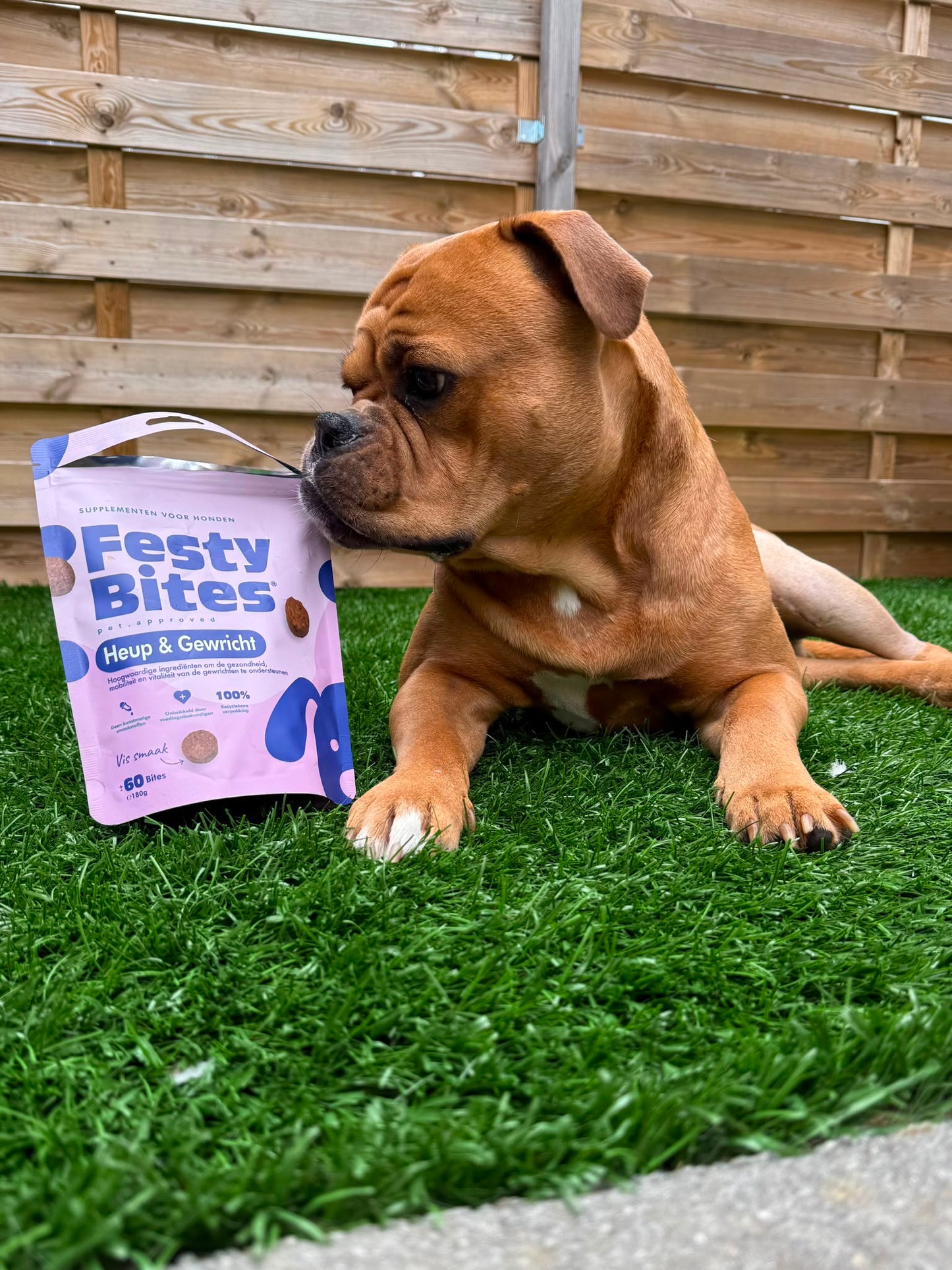 Festybites Heup & Gewrichten