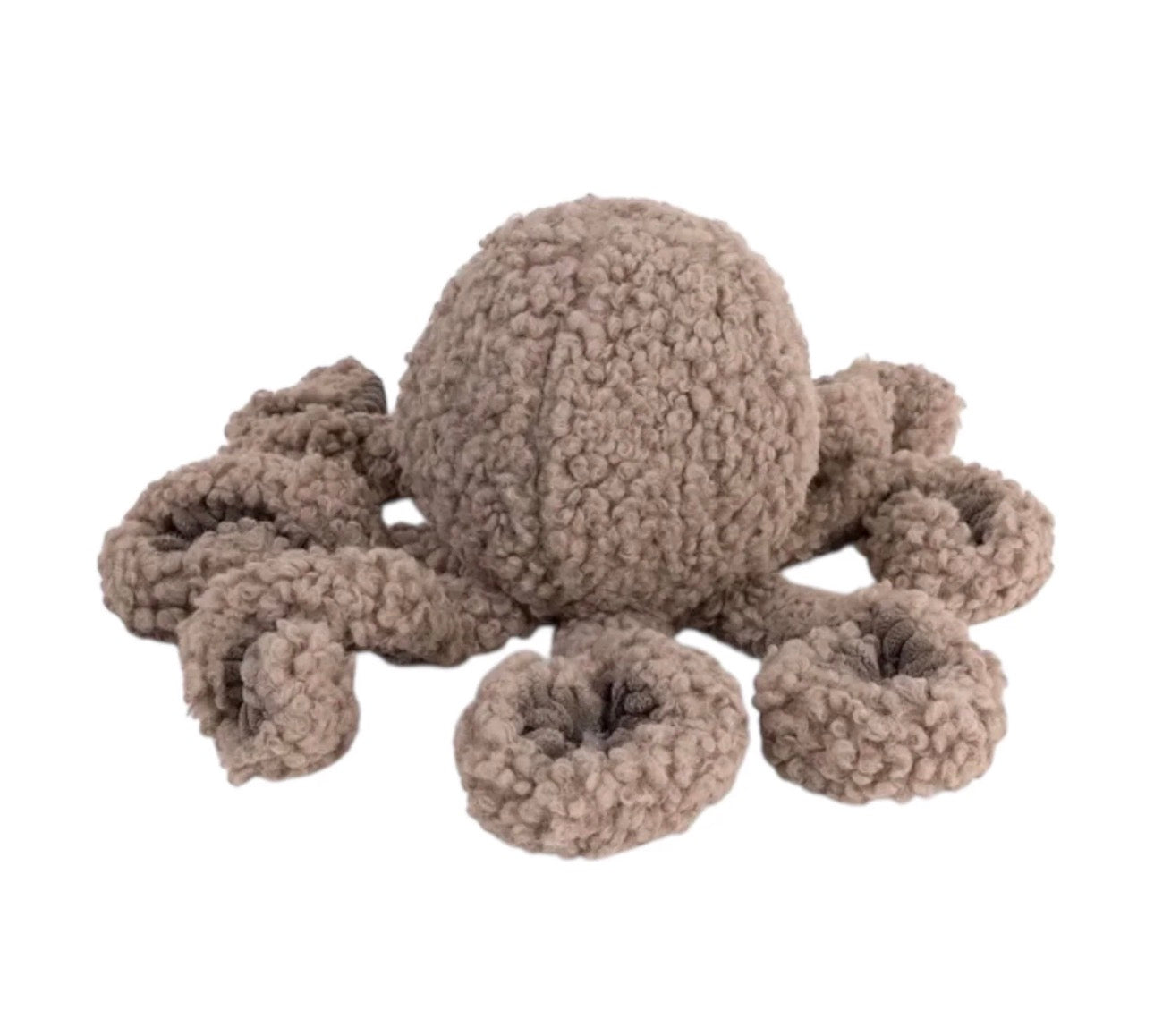 District 70 Squid