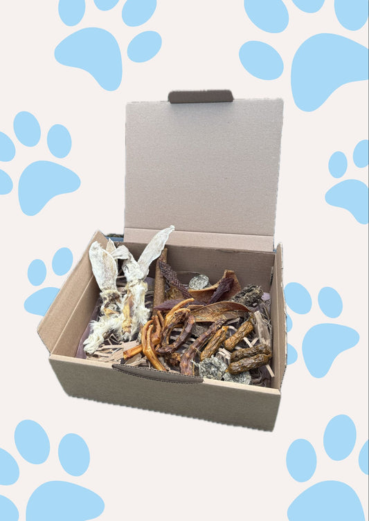 Puppy pret pakket