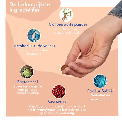 Festybites Probiotica kip