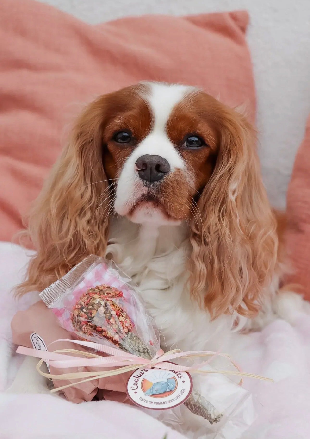 Cooka's Cookies Lollipop Valentijnsdag Editie