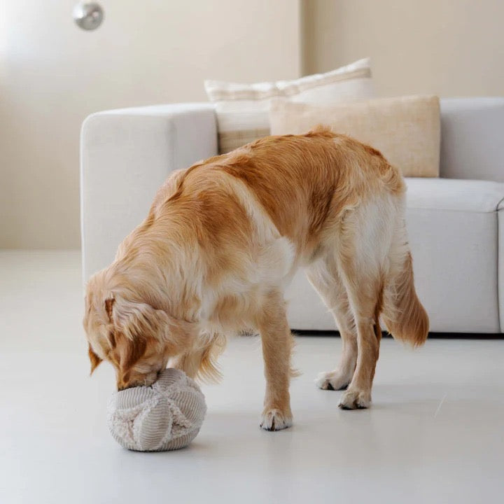 District 70 snuffelbal Pink