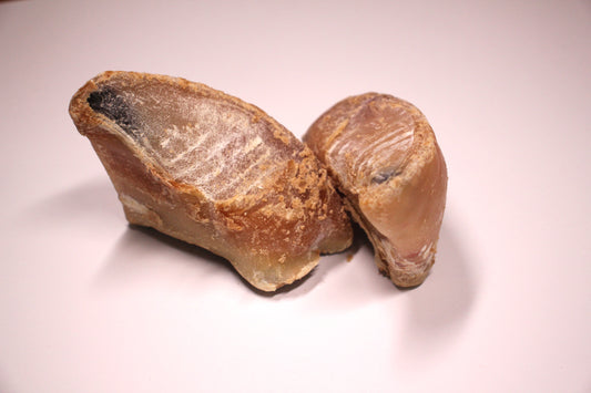 honden snack lam