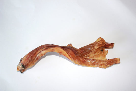 Achillespees paard