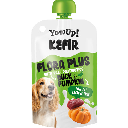 Yowup! yoghurt Kefir Eend & Pompoen