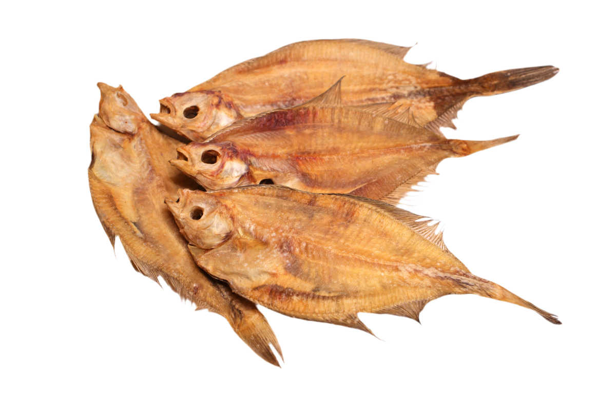 Gedroogde scholletjes voor honden, een natuurlijke vissnack uit Nederland met van nature aanwezige omega 3 vetzuren.