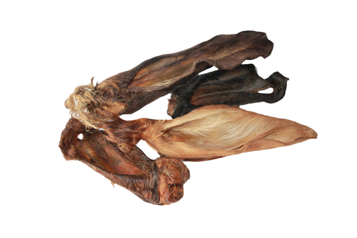 Geitenoren met haar voor honden, een natuurlijke kauwsnack van geit met stevige structuur voor honden die graag kauwen.