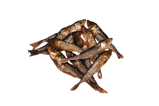 Gedroogde haring voor honden van circa 6 tot 10 cm, een natuurlijke vissnack met omega 3 vetzuren, vitaminen en mineralen.