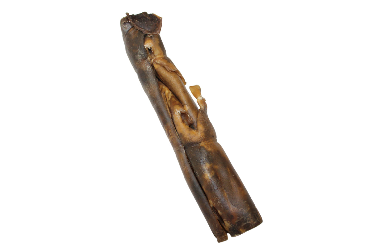 Kameel kophuid rol voor honden van circa 25 tot 30 cm, een harde natuurlijke kauwsnack van 100% kameel voor middelgrote en grote honden.