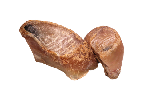 Kauwhoefje met paté voor honden, een stevige natuurlijke kauwsnack met smakelijke vulling voor langdurig kauwplezier.