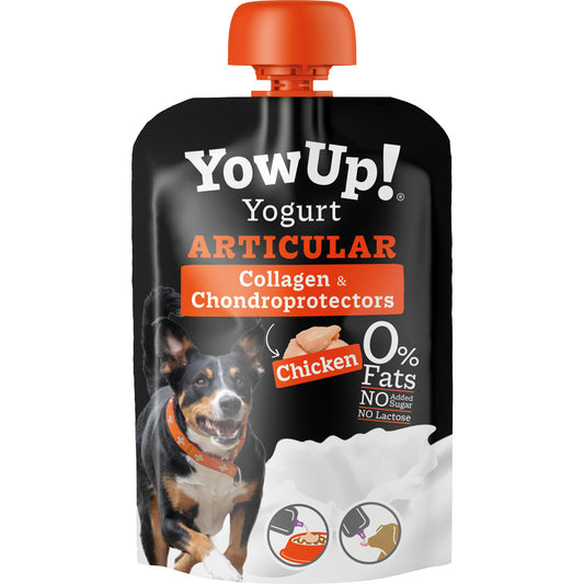 Lactosevrije yoghurt voor honden met kip, collageen, glucosamine en chondroïtine, geschikt als smakelijke aanvulling op de dagelijkse voeding.