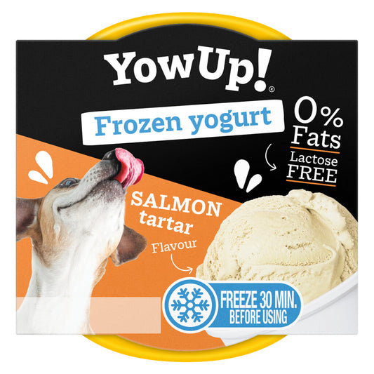 YowUp Frozen Yoghurt voor honden, een lactosevrij en vetarm yoghurtijsje dat na 30 minuten invriezen klaar is.