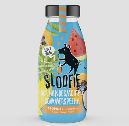 Zomerse hondensmoothie met meloen, banaan, appel, mango en ananas, ideaal als frisse topping of verkoelend hondenijsje.